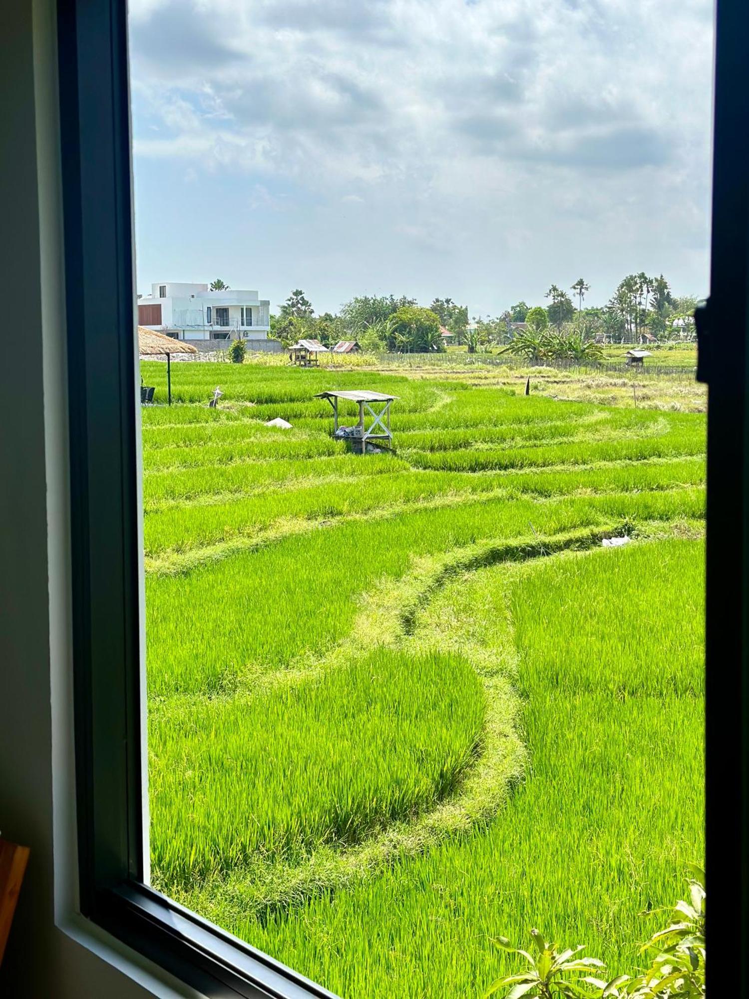Kerobokan Villa In Seminyak Villa Mitra Dua Ricefield View Relax מראה חיצוני תמונה
